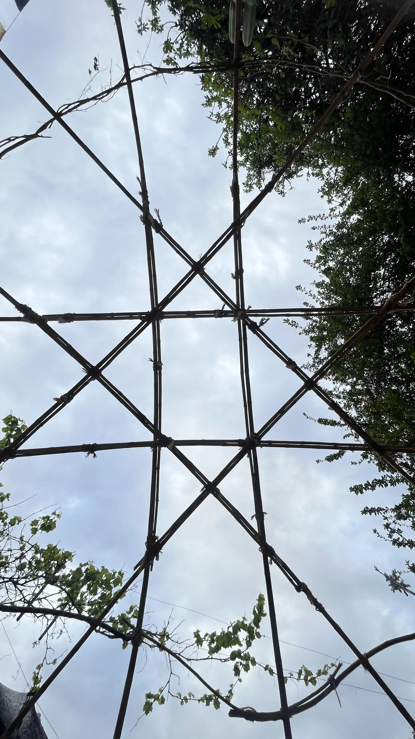 Vista desde dentro del domo hacia el cielo: las varas forman una estrella de ocho puntas